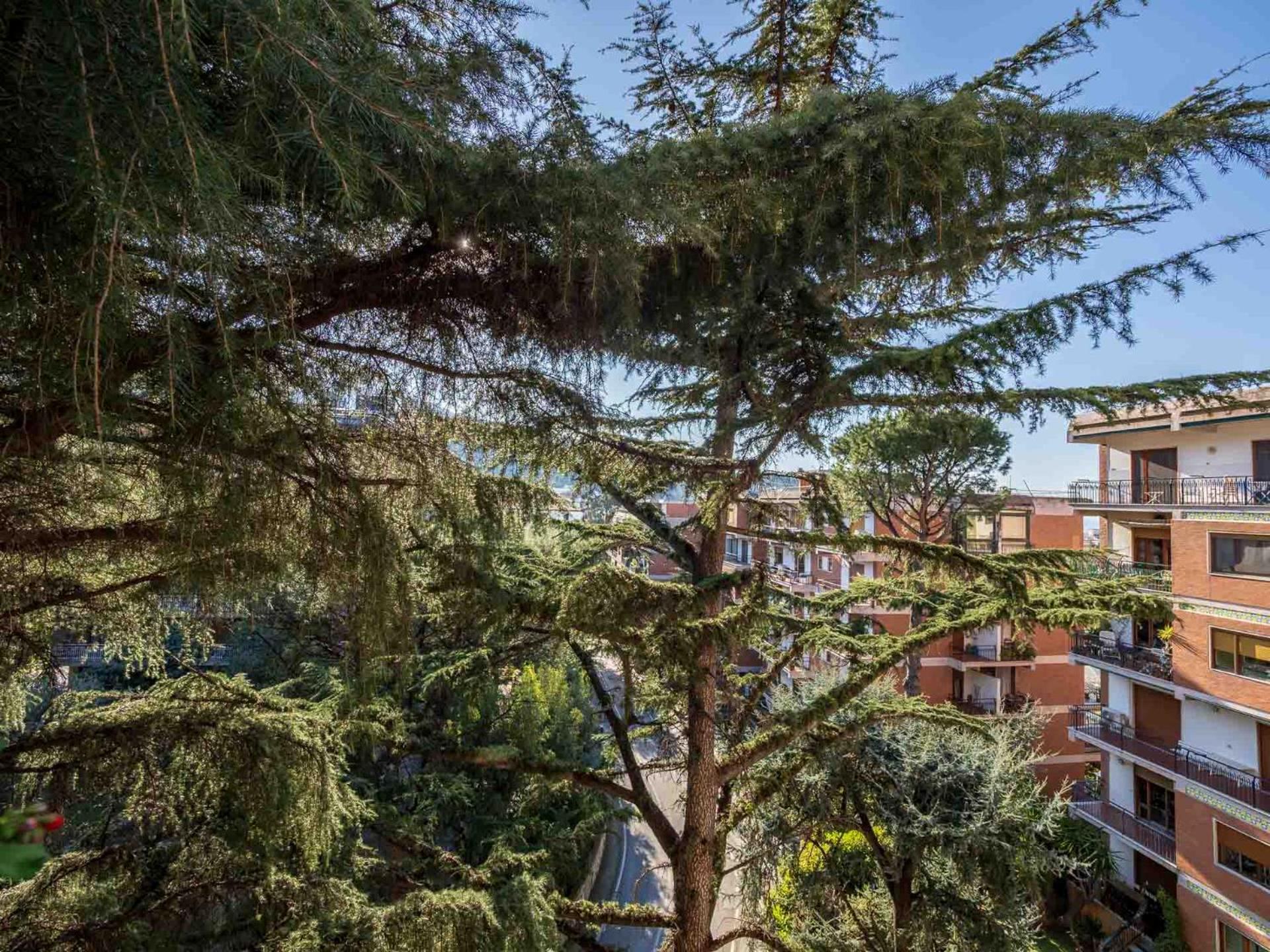 Ferienwohnung Pine House Sorrent Exterior foto